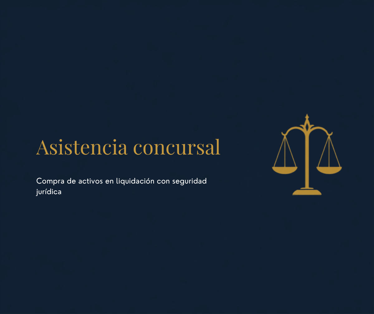 Asistencia en concursos de acreedores